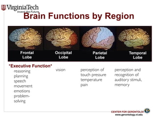 CENTER FOR GERONTOLOGY
www.gerontology.vt.edu
reasoning
planning
speech
movement
emotions
problem-
solving
vision perception of
touch pressure
temperature
pain
perception and
recognition of
auditory stimuli,
memory
Brain Functions by Region
*Executive Function*
17
 