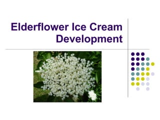 Elderflower Ice Cream Development 