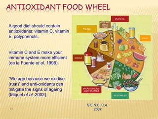ANTIOXIDANT FOOD WHEEL
                                                                       OLIVE OIL
                                                           NUTS AND
                                                             DRIED
A good diet should contain                                   FRUIT
                                           PULSEs
antioxidants: vitamin C, vitamin
E, polyphenols.                                                                    FRUIT




Vitamin C and E make your
immune system more efficient       COCOA

(de la Fuente et al. 1998).


―We age because we oxidise
(rust)‖ and anti-oxidants can
mitigate the signs of ageing               BREAD CEREALS
                                            AND POTATOES

(Miquel et al. 2002).                                                 VEGETABLES




                                              S.E.N.E. C.A.
51                                                2007
 