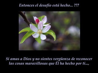 Entonces el desafío está hecho... ???Si amas a Dios y no sientes vergüenza de reconocer las cosas maravillosas que Él ha hecho por ti...,
