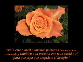 envía este e-mail a muchas personas (aunque no sean cristianas), y también a la persona que te lo envió a tí, para que sepa que aceptáste el desafio !