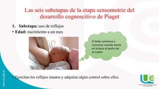2.Reacciones circulares primarias
1 a 4 meses
Los infantes repiten las conductas agradables que ocurren por casualidad en ...