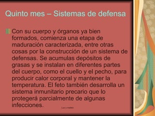 Quinto mes – Sistemas de defensa Con su cuerpo y órganos ya bien formados, comienza una etapa de maduración caracterizada, entre otras cosas por la construcción de un sistema de defensas. Se acumulas depósitos de grasas y se instalan en diferentes partes del cuerpo, como el cuello y el pecho, para producir calor corporal y mantener la temperatura. El feto también desarrolla un sistema inmunitario precario que lo protegerá parcialmente de algunas infecciones. 