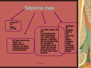Séptimo mes Largo:30 cm Peso: 1,5 Kg. El feto abre los ojos: La estructura óptica ya esta prácticamente conformada. La piel: Deja de se transparente  para adoptar un color mas opaco. Debajo de la epidermis se empieza acumular una capa de grasa que hace que la piel sea mas suave. Reflejo: El espejo típico de succión del dedo pulgas esta perfectamente desarrollado 