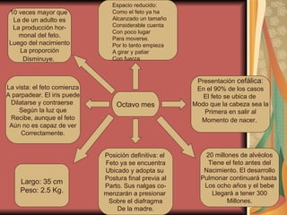 Octavo mes Espacio reducido: Como el feto ya ha Alcanzado un tamaño Considerable cuenta Con poco lugar Para moverse. Por lo tanto empieza A girar y patiar Con fuerza. Presentación  cefálica: En el 90% de los casos El feto se ubica de  Modo que la cabeza sea la Primera en salir al Momento de nacer .  Posición definitiva: el  Feto ya se encuentra Ubicado y adopta su  Postura final previa al Parto. Sus nalgas co- menzarán a presionar  Sobre el diafragma De la madre. La vista: el feto comienza A parpadear. El iris puede Dilatarse y contraerse  Según la luz que Recibe, aunque el feto Aún no es capaz de ver Correctamente. 10 veces mayor que  La de un adulto es La producción hor- monal del feto. Luego del nacimiento La proporción Disminuye.   20 millones de alvéolos Tiene el feto antes del Nacimiento. El desarrollo Pulmonar continuará hasta  Los ocho años y el bebe Llegará a tener 300 Millones. Largo: 35 cm Peso: 2.5 Kg. 