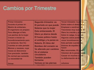 Cambios por Trimestre Tercer trimestre: la piel se Estira sobre el abdomen y Empiezan a sentirse con Tracciones muy suaves. El Útero ha crecido y presiona Sobre la vejiga, lo que en  Algunos casos puede Pro vocar incontinencia. En  Este periodo cuando los Dolores de espalda se hacen Mas recurrentes. El gran  Volumen de la panza puede Causar en muchos casos La deformación de la columna   Segundo trimestre: es El periodo en que puede Notarse que la mujer Esta embarazada. El  Útero ya abarca desde El hueso púbico hasta el ombligo y la panza es Notoria. El ritmo del  Bombeo del corazón se Ve alterado por cambios En el sistema circulatorio También pueden formarse Varices en las piernas   Primer trimestre:  Durante el primer tri- Mestre de embarazo, El organismo se prepara Para albergar el feto. Los pechos de la mujer Crecen e inician su  Acondicionamiento para La lactancia. Son fre- Cuentes en este periodo Mareos y nauseas, cuya Causa se desconoce Con precisión. también Es normal que aumente La necesidad de  Orinar.   