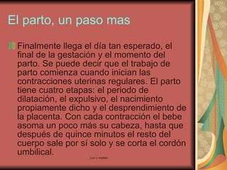 El parto, un paso mas Finalmente llega el día tan esperado, el final de la gestación y el momento del parto. Se puede decir que el trabajo de parto comienza cuando inician las contracciones uterinas regulares. El parto tiene cuatro etapas: el periodo de dilatación, el expulsivo, el nacimiento propiamente dicho y el desprendimiento de la placenta. Con cada contracción el bebe asoma un poco más su cabeza, hasta que después de quince minutos el resto del cuerpo sale por sí solo y se corta el cordón umbilical.  