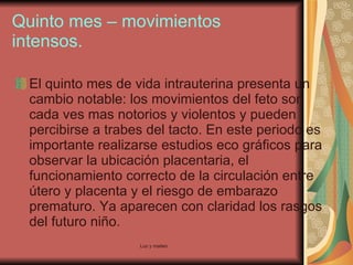Quinto mes – movimientos intensos. El quinto mes de vida intrauterina presenta un cambio notable: los movimientos del feto son cada ves mas notorios y violentos y pueden percibirse a trabes del tacto. En este periodo es importante realizarse estudios eco gráficos para observar la ubicación placentaria, el funcionamiento correcto de la circulación entre útero y placenta y el riesgo de embarazo prematuro. Ya aparecen con claridad los rasgos del futuro niño.  