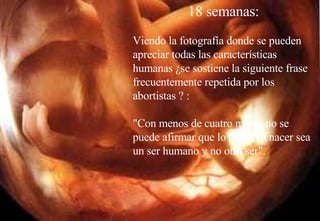18 semanas:   Viendo la fotografía donde se pueden apreciar todas las características humanas ¿se sostiene la siguiente frase frecuentemente repetida por los abortistas ? : "Con menos de cuatro meses no se puede afirmar que lo que va a nacer sea un ser humano y no otro ser".   
