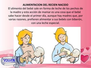 ALIMENTACION DEL RECIEN NACIDO
El alimento del bebé sale en forma de leche de los pechos de
la madre y esta acción de mamar es una cosa que el bebé
sabe hacer desde el primer día, aunque hay madres que, por
varias razones, prefieren alimentar a sus bebés con biberón,
con una leche especial.
VOLVER
 