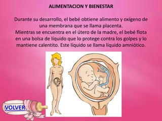ALIMENTACION Y BIENESTAR
Durante su desarrollo, el bebé obtiene alimento y oxígeno de
una membrana que se llama placenta.
Mientras se encuentra en el útero de la madre, el bebé flota
en una bolsa de líquido que lo protege contra los golpes y lo
mantiene calentito. Este líquido se llama líquido amniótico.
VOLVER
 