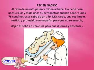 RECIEN NACIDO
Al cabo de un rato pesan y miden al bebé. Un bebé pesa
unos 3 kilos y mide unos 50 centímetros cuando nace, y unos
76 centímetros al cabo de un año. Más tarde, una vez limpio,
vestido y protegido con un pañal para que no se ensucie,
dejan al bebé en una cuna para que duerma y descanse.
VOLVER
 