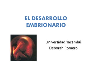 EL DESARROLLO
EMBRIONARIO
Universidad Yacambú
Deborah Romero
 