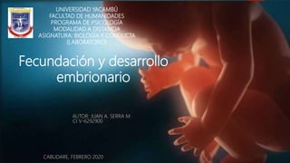 UNIVERSIDAD YACAMBÚ
FACULTAD DE HUMANIDADES
PROGRAMA DE PSICOLOGÍA
MODALIDAD A DISTANCIA
ASIGNATURA: BIOLOGÍA Y CONDUCTA
(LABORATORIO)
Fecundación y desarrollo
embrionario
AUTOR: JUAN A. SERRA M.
CI V-6292900
CABUDARE, FEBRERO 2020
 