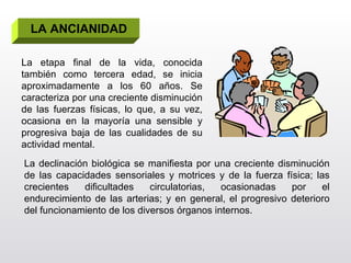 LA ANCIANIDAD La etapa final de la vida, conocida también como tercera edad, se inicia aproximadamente a los 60 años. Se caracteriza por una creciente disminución de las fuerzas físicas, lo que, a su vez, ocasiona en la mayoría una sensible y progresiva baja de las cualidades de su actividad mental. La declinación biológica se manifiesta por una creciente disminución de las capacidades sensoriales y motrices y de la fuerza física; las crecientes dificultades circulatorias, ocasionadas por el endurecimiento de las arterias; y en general, el progresivo deterioro del funcionamiento de los diversos órganos internos. 