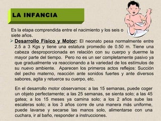 LA INFANCIA Es la etapa comprendida entre el nacimiento y los seis o siete años. Desarrollo Físico y Motor :  El neonato pesa normalmente entre 2.5 a 3 Kgs y tiene una estatura promedio de 0.50 m. Tiene una cabeza desproporcionada en relación con su cuerpo y duerme la mayor parte del tiempo.  Pero no es un ser completamente pasivo ya que gradualmente va reaccionando a la variedad de los estímulos de su nuevo ambiente.  Aparecen los primeros actos reflejos: Succión del pecho materno, reacción ante sonidos fuertes y ante diversos sabores, agita y retuerce su cuerpo, etc. En el desarrollo motor observamos: a las 15 semanas, puede coger un objeto perfectamente; a las 25 semanas, se sienta solo; a las 45 gatea; a los 15 meses ya camina solo; a los 2 años sube las escaleras solo; a los 3 años corre de una manera más uniforme, puede lavarse y secarse las manos solo, alimentarse con una cuchara, ir al baño, responder a instrucciones.  
