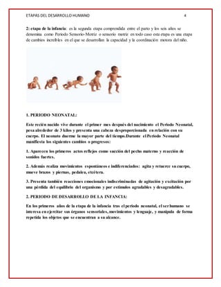 ETAPAS DEL DESARROLLO HUMANO 4
2: etapa de la infancia: es la segunda etapa comprendida entre el parto y los seis años se
denomina como Periodo Sensorio-Motriz o sensorio motriz en todo caso esta etapa es una etapa
de cambios increíbles en el que se desarrollan la capacidad y la coordinación motora del niño.
1. PERIODO NEONATAL:
Este recién nacido vive durante el primer mes después del nacimiento el Periodo Neonatal,
pesa alrededor de 3 kilos y presenta una cabeza desproporcionada en relación con su
cuerpo. El neonato duerme la mayor parte del tiempo.Durante el Periodo Neonatal
manifiesta los siguientes cambios o progresos:
1. Aparecen los primeros actos reflejos como succión del pecho materno y reacción de
sonidos fuertes.
2. Además realiza movimientos espontáneos e indiferenciados: agita y retuerce su cuerpo,
mueve brazos y piernas, pedalea, etcétera.
3. Presenta también reacciones emocionales indiscriminadas de agitación y excitación por
una pérdida del equilibrio del organismo y por estímulos agradables y desagradables.
2. PERIODO DE DESARROLLO DE LA INFANCIA:
En los primeros años de la etapa de la infancia tras el periodo neonatal, el serhumano se
interesa en ejercitar sus órganos sensoriales, movimientos y lenguaje, y manipula de forma
repetida los objetos que se encuentran a su alcance.
 