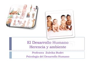 El Desarrollo Humano
 Herencia y ambiente
    Profesora Zuleika Budet
Psicología del Desarrollo Humano
 