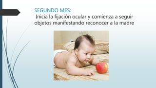 SEGUNDO MES:
Inicia la fijación ocular y comienza a seguir
objetos manifestando reconocer a la madre
 