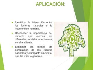 APLICACIÓN:
 Identificar la interacción entre
los factores naturales y la
intervención humana.
 Reconocer la importancia del
impacto que ejercen los
diferentes modelos económicos
en el ambiente.
 Examinar las formas de
apropiación de los recurso
naturales y el impacto ambiental
que las misma generan.
 