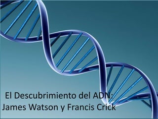 El Descubrimiento del ADN:
James Watson y Francis Crick
 