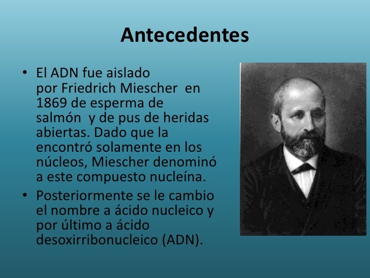 El descubrimiento del ADN