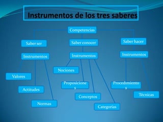 Competencias


                               Saber conocer                 Saber hacer
          Saber ser


      Instrumentos             Instrumentos                  Instrumentos


                         Nociones
Valores
                           Proposicione                 Procedimiento
     Actitudes                  s                             s

                                    Conceptos                        Técnicas

                Normas
                                                Categorías
 