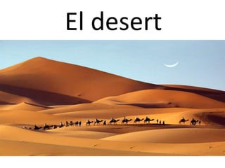 El desert
 