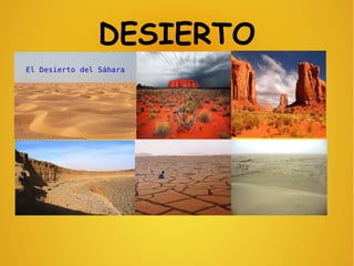 DESIERTO
 