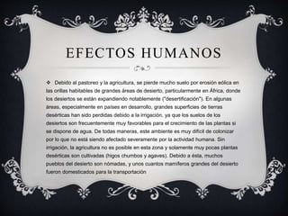 EFECTOS HUMANOS
 Debido al pastoreo y la agricultura, se pierde mucho suelo por erosión eólica en
las orillas habitables de grandes áreas de desierto, particularmente en África, donde
los desiertos se están expandiendo notablemente ("desertificación"). En algunas
áreas, especialmente en países en desarrollo, grandes superficies de tierras
desérticas han sido perdidas debido a la irrigación, ya que los suelos de los
desiertos son frecuentemente muy favorables para el crecimiento de las plantas si
se dispone de agua. De todas maneras, este ambiente es muy difícil de colonizar
por lo que no está siendo afectado severamente por la actividad humana. Sin
irrigación, la agricultura no es posible en esta zona y solamente muy pocas plantas
desérticas son cultivadas (higos chumbos y agaves). Debido a ésta, muchos
pueblos del desierto son nómadas, y unos cuantos mamíferos grandes del desierto
fueron domesticados para la transportación.
 