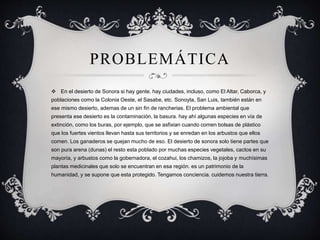 PROBLEMÁTICA
 En el desierto de Sonora si hay gente. hay ciudades, incluso, como El Altar, Caborca, y
poblaciones como la Colonia Oeste, el Sasabe, etc. Sonoyta, San Luis, también están en
ese mismo desierto, ademas de un sin fin de rancherias. El problema ambiental que
presenta ese desierto es la contaminación, la basura. hay ahí algunas especies en vía de
extinción, como los buras, por ejemplo, que se asfixian cuando comen bolsas de plástico
que los fuertes vientos llevan hasta sus territorios y se enredan en los arbustos que ellos
comen. Los ganaderos se quejan mucho de eso. El desierto de sonora solo tiene partes que
son pura arena (dunas) el resto esta poblado por muchas especies vegetales, cactos en su
mayoría, y arbustos como la gobernadora, el cozahui, los chamizos, la jojoba y muchísimas
plantas medicinales que solo se encuentran en esa región. es un patrimonio de la
humanidad, y se supone que esta protegido. Tengamos conciencia. cuidemos nuestra tierra.
 