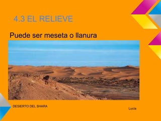 4.3 EL RELIEVE

Puede ser meseta o llanura




DESIERTO DEL SHARA
                             Lucía
 