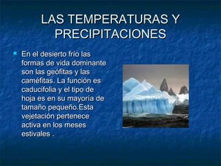 LAS TEMPERATURAS YLAS TEMPERATURAS Y
PRECIPITACIONESPRECIPITACIONES
 En el desierto frío lasEn el desierto frío las
formas de vida dominanteformas de vida dominante
son las geófitas y lasson las geófitas y las
caméfitas. La función escaméfitas. La función es
caducifolia y el tipo decaducifolia y el tipo de
hoja es en su mayoría dehoja es en su mayoría de
tamaño pequeño.Estatamaño pequeño.Esta
vejetación pertenecevejetación pertenece
activa en los mesesactiva en los meses
estivales .estivales .
 