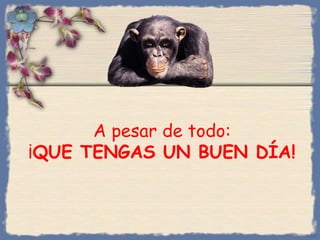 A pesar de todo:
¡QUE TENGAS UN BUEN DÍA!

Bihal

 