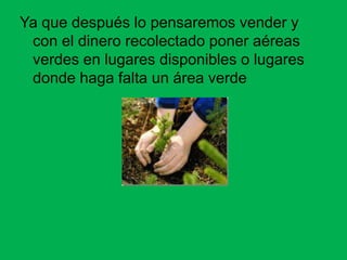 Ya que después lo pensaremos vender y
 con el dinero recolectado poner aéreas
 verdes en lugares disponibles o lugares
 donde haga falta un área verde
 