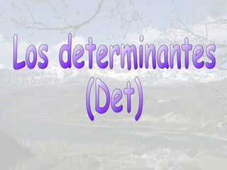 Los determinantes (Det) 