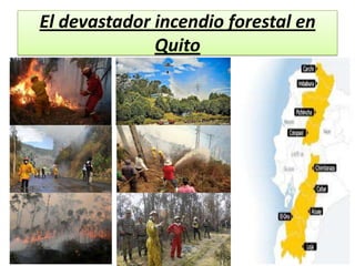 El devastador incendio forestal en
              Quito
 