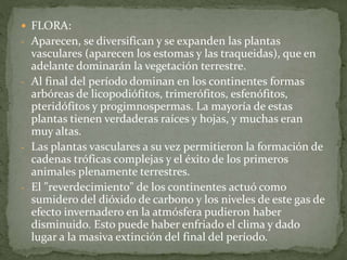  FLORA:
- Aparecen, se diversifican y se expanden las plantas
vasculares (aparecen los estomas y las traqueidas), que en
adelante dominarán la vegetación terrestre.
- Al final del período dominan en los continentes formas
arbóreas de licopodiófitos, trimerófitos, esfenófitos,
pteridófitos y progimnospermas. La mayoría de estas
plantas tienen verdaderas raíces y hojas, y muchas eran
muy altas.
- Las plantas vasculares a su vez permitieron la formación de
cadenas tróficas complejas y el éxito de los primeros
animales plenamente terrestres.
- El "reverdecimiento" de los continentes actuó como
sumidero del dióxido de carbono y los niveles de este gas de
efecto invernadero en la atmósfera pudieron haber
disminuido. Esto puede haber enfriado el clima y dado
lugar a la masiva extinción del final del período.
 