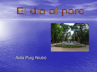 Aida Puig NiubóAida Puig Niubó
 