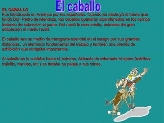 El caballo EL CABALLO  Fue introducido en América por los españoles. Cuando se destruyó el fuerte que fundó Don Pedro de Mendoza, los caballos quedaron abandonados en los campo tratando de sobrevivir al puma. Así nació la raza criolla, animales de gran adaptación al medio hostil. El caballo era un medio de transporte esencial en el campo por sus grandes distancias, un elemento fundamental del trabajo y también una prenda de exhibición que otorgaba importancia. Al caballo se lo cuidaba hasta el extremo. Además de adornarle el apero (estribos, cojinillo, riendas, etc.) se trataba su pelaje y sus crines. 