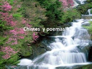 Chistes y poemas!!
 