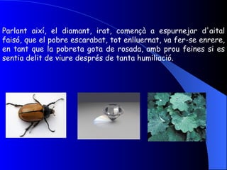Parlant així, el diamant, irat, començà a espurnejar d'aital faisó, que el pobre escarabat, tot enlluernat, va fer-se enrere, en tant que la pobreta gota de rosada, amb prou feines si es sentia delit de viure després de tanta humiliació. 