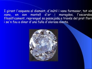 I girant l'esquena al diamant, d'inútil i vana formosor, tot xino xano, en son mantell d'or i maragdes, l'escarabat, filosòficament, reprengué sa passejada a través del prat florit, i se'n fou a dinar d'una fulla d'olorosa menta. 