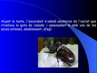 Alçant la testa, l'escarabat s'adonà aleshores de l'esclat que irradiava la gota de rosada; i assenyalant-la amb una de les seves antenes, amablement, afegí: 