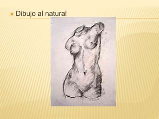  Dibujo al natural
 