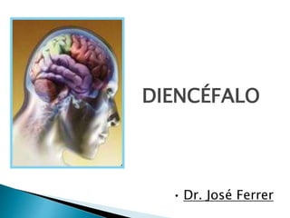 DIENCÉFALO
• Dr. José Ferrer
 