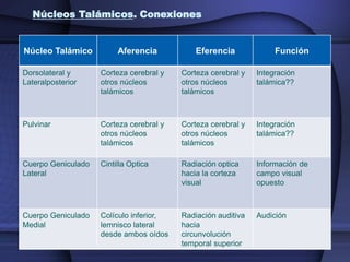 Núcleos Talámicos. Conexiones


Núcleo Talámico          Aferencia           Eferencia             Función

Dorsolateral y      Corteza cerebral y   Corteza cerebral y   Integración
Lateralposterior    otros núcleos        otros núcleos        talámica??
                    talámicos            talámicos



Pulvinar            Corteza cerebral y   Corteza cerebral y   Integración
                    otros núcleos        otros núcleos        talámica??
                    talámicos            talámicos

Cuerpo Geniculado   Cintilla Optica      Radiación optica     Información de
Lateral                                  hacia la corteza     campo visual
                                         visual               opuesto



Cuerpo Geniculado   Colículo inferior,   Radiación auditiva   Audición
Medial              lemnisco lateral     hacia
                    desde ambos oídos    circunvolución
                                         temporal superior
 