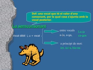 La semiconsonant Def: una vocal que té el valor d’una consonant, per la qual cosa s’ajunta amb la vocal posterior . Vocal dèbil  i, u + vocal entre vocals a- i a, a- u a,  La- i a ca- u en a principi de mot:  iot, ia- i a, hie-na 