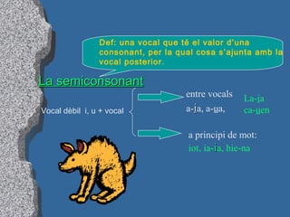 La semiconsonantLa semiconsonant
Def: una vocal que té el valor d’una
consonant, per la qual cosa s’ajunta amb la
vocal posterior.
Vocal dèbil i, u + vocal
entre vocals
a-iia, a-ua,
La-ia
ca-uen
a principi de mot:
iot, ia-iia, hie-na
 