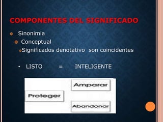 COMPONENTES DEL SIGNIFICADO 
 Sinonimia 
 Conceptual 
Significados denotativo son coincidentes 
• LISTO = INTELIGENTE 
 